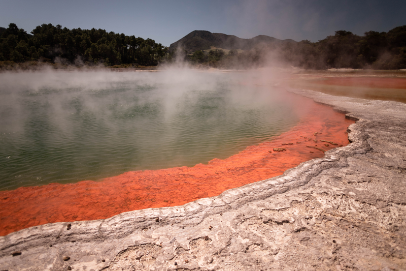 Rotorua's Geothermal Wonders